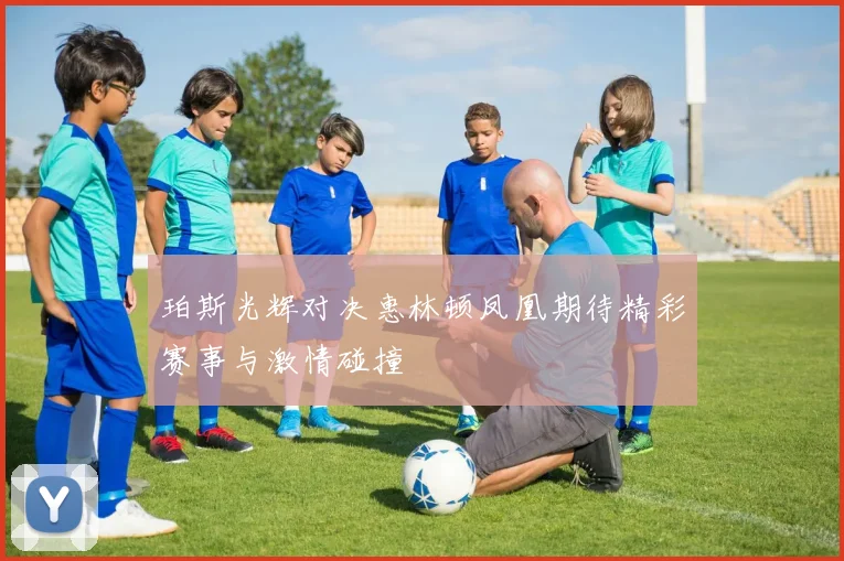 珀斯光辉对决惠林顿凤凰期待精彩赛事与激情碰撞
