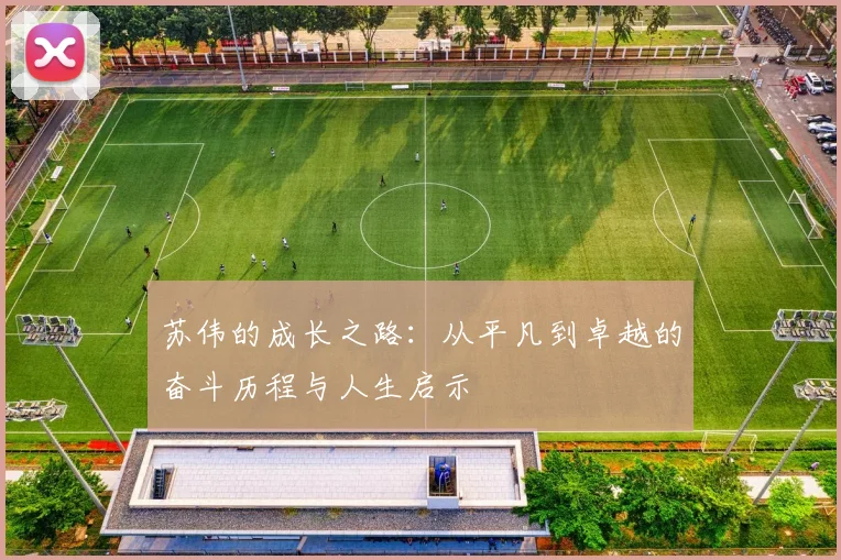 苏伟的成长之路：从平凡到卓越的奋斗历程与人生启示