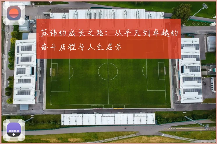 苏伟的成长之路：从平凡到卓越的奋斗历程与人生启示