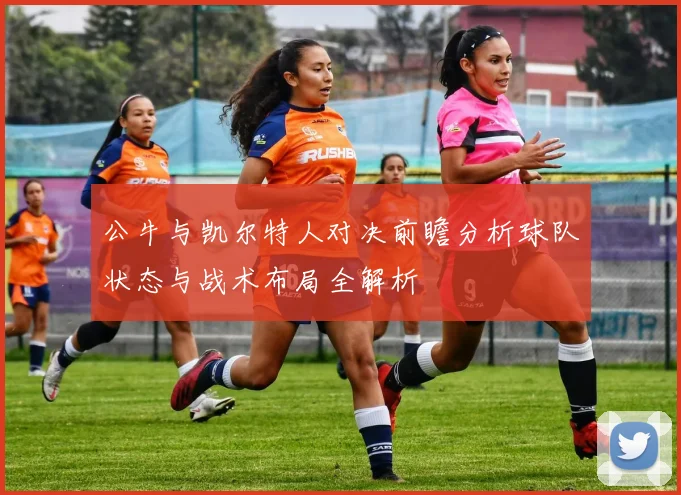 公牛与凯尔特人对决前瞻分析球队状态与战术布局全解析